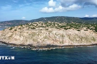 Turismo experiencial impulsa el atractivo de la costa de Khanh Hoa