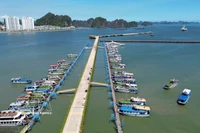Puerto Internacional de Ha Long, en la provincia de Quang Ninh (Foto: VNA)