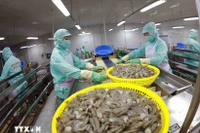 Empresas ajustan estrategias para mantener exportaciones de productos acuícolas