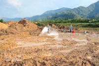 Tratamiento de tierras contaminadas con dioxinas en el aeropuerto A So (Foto: VNA)