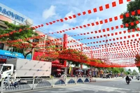 Un tramo de la calle Nguyen Hue, en el barrio de Cao Lanh, provincia de Dong Thap, decorado para celebrar el XIV Congreso Nacional del Partido. (Foto: dongthap.gov.vn)