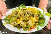 Una variedad de tentadores platillos de caracoles atraen a los comensales. (Foto: dantri.com.vn)