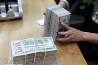 Foto de ilustración. (Fuente: VNA)