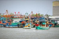 Las autoridades visitaron cada buque pesquero para concienciar a la comunidad pesquera sobre la necesidad de retirar la tarjeta amarilla de pesca ilegal. (Fuente: VNA)