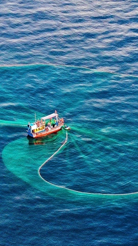 Vietnam amplía esfuerzos para avanzar hacia una pesca responsable