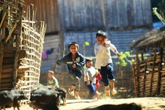 Logros en educación, salud y bienestar social: una base sólida para el desarrollo sostenido de Vietnam