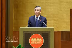 El ministro de Finanzas, Ngo Van Tuan, presenta el informe de verificación. (Foto: VNA)