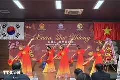 Festival de primavera en saludo al Año Nuevo 2025 en la ciudad de Siheung, Corea del Sur. (Fuente: VNA)