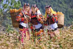 El turismo ha traído muchos cambios a la vida de las minorías étnicas en Ha Giang. (Foto: baodautu.vn)