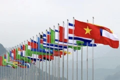 Vietnam desarrolla una diplomacia integral, moderna y profesional. (Foto: chinhphu.vn)