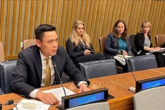 El embajador Dang Hoang Giang, jefe de la Misión Permanente de Vietnam ante la ONU. (Fuente: VNA)