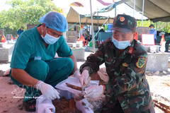 Se recolectan muestras biológicas de las tumbas de los mártires en el cementerio de Pho An, barrio de Tra Cau, provincia de Quang Ngai. Foto: VNA