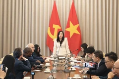 La viceministra de Relaciones Exteriores, Le Thi Thu Hang, da la bienvenida a los periodistas y les informa sobre algunos de los logros recientes de Vietnam. (Foto: Ministerio de Relaciones Exteriores)