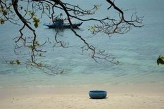 Belleza salvaje de la isla de Son Cha en Da Nang con gran potencial para el ecoturismo
