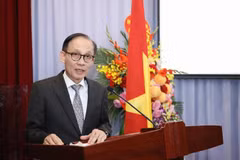 El miembro del Buró Político y ministro de Relaciones Exteriores de Vietnam, Le Hoai Trung. (Foto: VNA)