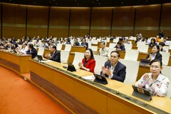 La Asamblea Nacional aprueba la Ley de Funcionarios Públicos (modificada). Foto: VNA