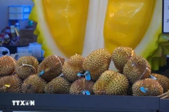 Durián vietnamita gana popularidad en China