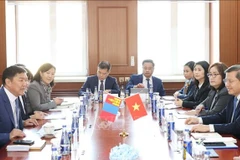 La delegación de alto nivel del Tribunal Supremo Popular de Vietnam sostiene conversaciones con la delegación del Tribunal Supremo de Mongolia. (Fuente: VNA)