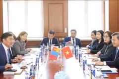 La delegación de alto nivel del Tribunal Supremo Popular de Vietnam sostiene conversaciones con la delegación del Tribunal Supremo de Mongolia. (Fuente: VNA)