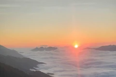 Espina dorsal de dinosaurio. (Foto: VNA)