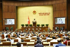 Parlamento de Vietnam aprueba Resolución sobre reestructuración de unidades administrativas provinciales. (Foto: VNA)