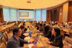Pham Quang Huy, consejero ministro y subjefe de la delegación permanente de Vietnam en Ginebra (izquierda), asiste a las reuniones. (Fuente: VNA)