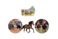 Algunos festivales tradicionales de carreras de caballos en Vietnam