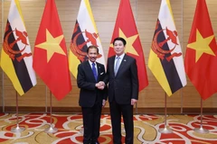 El presidente de Vietnam, Luong Cuong, y el sultán de Brunei, Haji Hassanal Bolkiah. (Foto: VNA)