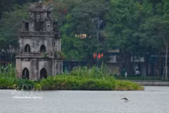 El Lago de Hoan Kiem, un símbolo histórico y cultural de la capital Hanoi. (Foto: VNA)