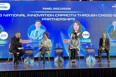 Expertos discuten en la cumbre. (Foto: VNA)