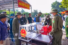 Recopilan restos para análisis de ADN en el cementerio de los mártires de Duong Minh Chau. Foto: VNA