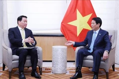 El presidente de Vietnam, Luong Cuong, sostuvo un encuentro con Taewon Chey, presidente del conglomerado SK Group y de la Cámara de Comercio e Industria de Corea del Sur. (Foto: VNA)