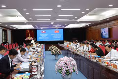 El panorama de la reunión. (Foto: VNA)