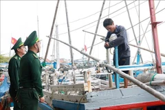 Los guardias fronterizos de la provincia de Phu Yen informan a los pescadores sobre la lucha contra la pesca ilegal en el puerto pesquero de Dong Tac (ciudad de Tuy Hoa). (Fuente: VNA)