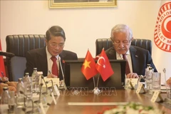 El vicepresidente de la Asamblea Nacional de Vietnam, Nguyen Duc Hai, sostiene una reunión de trabajo con su homólogo turco, Celal Adan. (Foto: VNA)