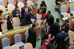 Vietnam es reelegido miembro del Consejo de Derechos Humanos de las Naciones Unidas para el período 2026-2028. (Fuente: VNA)