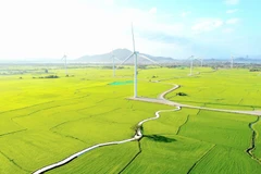 El campo de energía eólica en Dam Nai, Ninh Thuan (ahora Khanh Hoa). Foto: VNA