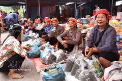 Mercado semanal único de minorías éticas en provincia de Tuyen Quang 