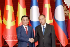 El miembro del Buró Político y mimebro permanente del Secretariado del Comité Central del Partido Popular Revolucionario de Laos (PPRL), Vilay Lakhamphong, y Tran Cam Tu, miembro del Buró Político y miembro permanente del Secretariado del Comité Central del Partido Comunista de Vietnam, durante la ceremonia de bienvenida. Foto: VNA