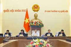 El presidente de la Asamblea Nacional de Vietnam, Tran Thanh Man, habla en la reunión. (Foto: VNA)