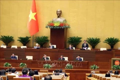 El vicepresidente de la Asamblea Nacional de Vietnam Le Minh Hoan preside la reunión. (Foto: VNA)