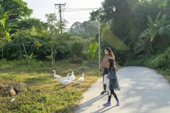 Experimente la "vida tranquila" en la cima de la región occidental 