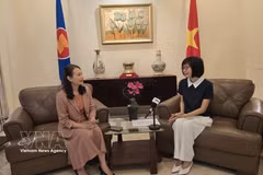 La embajadora Ton Thi Ngoc Huong, jefa de la misión permanente de Vietnam ante la ASEAN. (Foto: VNA)