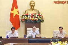 El presidente de la Asamblea Nacional de Vietnam, Tran Thanh Man, habla en la reunión. (Fuente: VNA)