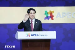 El presidente de Vietnam, Luong Cuong. (Foto: VNA)