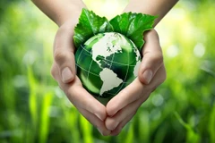 Foto de ilustración. (Fuente: https://scp.gov.vn/)