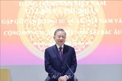 El secretario general del Partido Comunista de Vietnam, To Lam, habla en el encuentro. (Foto: VNA)