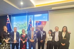 La directiva de la Cámara Nacional de Comercio e Industria Australia-Vietnam. Foto: VNA