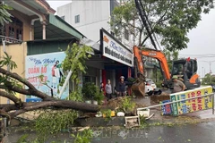 Los hogares de la comuna de Thach Ha reparan viviendas tras la tormenta número 10. (Foto: VNA)