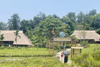 El espacio del pueblo Muong, ubicado en el complejo del “Aldea de Cultura y Turismo de las Etnias de Vietnam”, se ha convertido en uno de los más apreciados por visitantes y turistas. (Foto: VNA)
